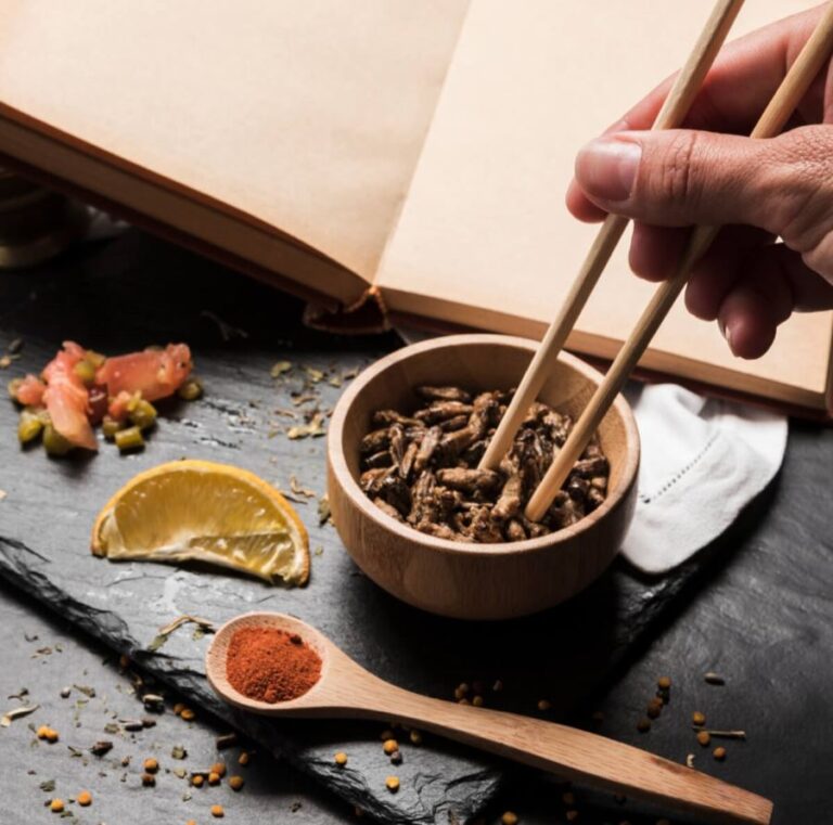 Chinese dietary therapy