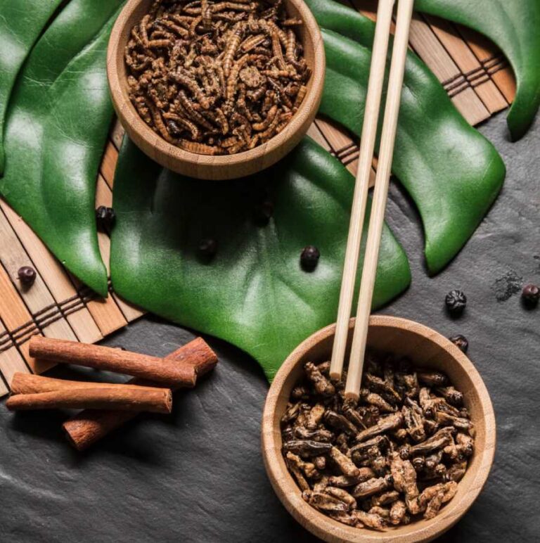 Traditional Chinese herbal medicine ingredients prepared for use in health treatments at Family Acupuncture Clinic Jacksonville.